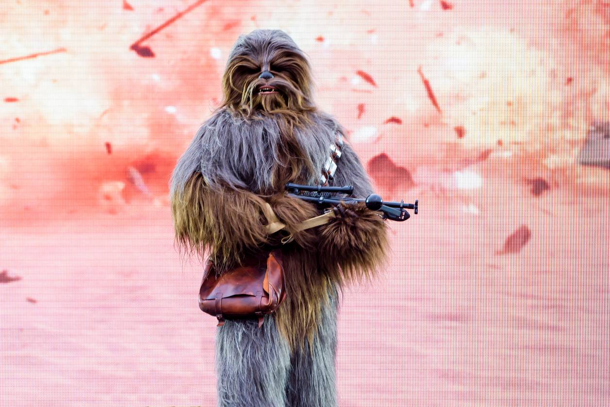 Chewbacca at Star Wars Day 2018