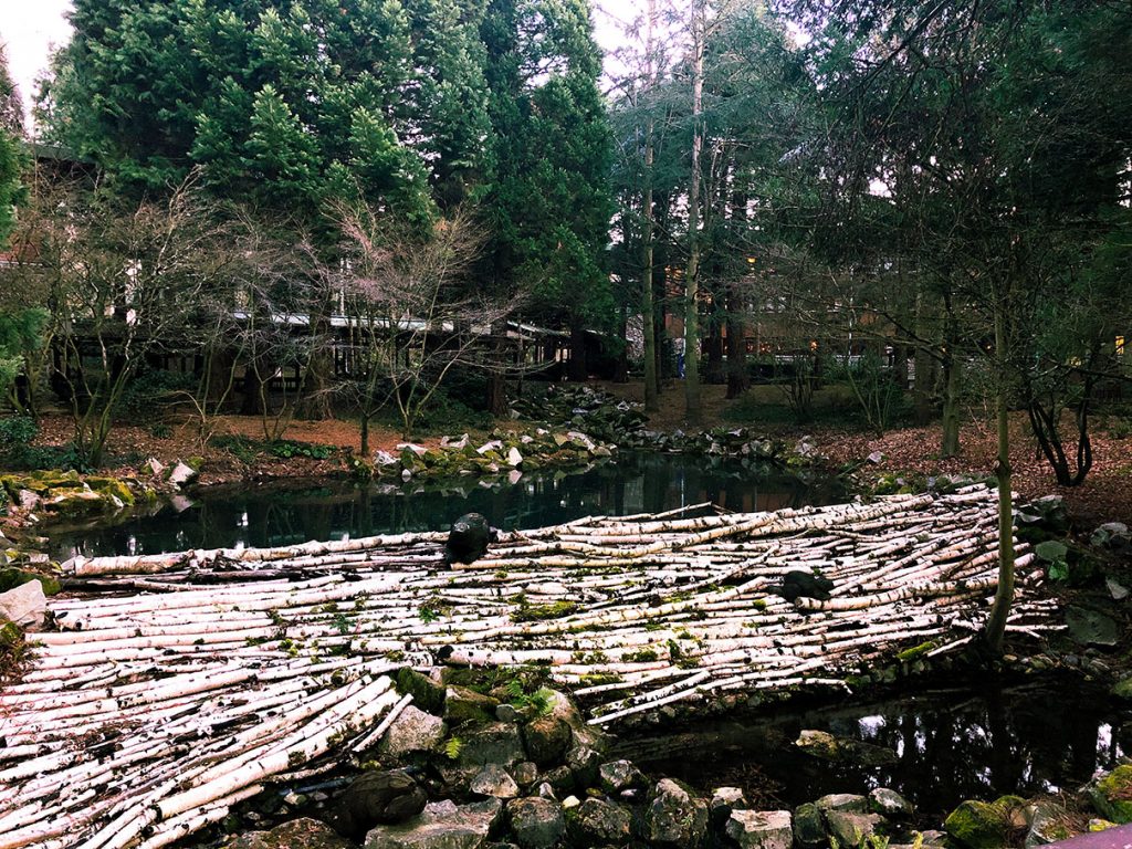 The Beaver Den at Disney's Sequoia Lodge - Disneyland Paris