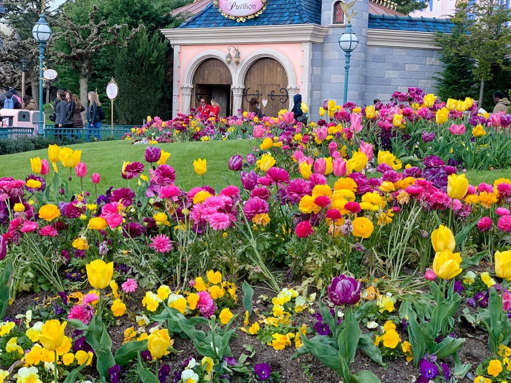 Tulips by the Princess Pavilion